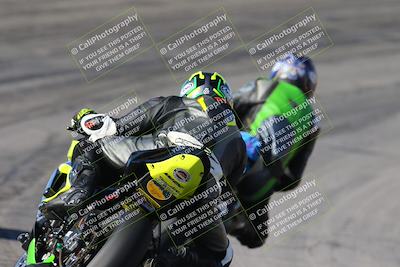 media/Feb-04-2024-SoCal Trackdays (Sun) [[91d6515b1d]]/4-Bowl Backside (11am)/